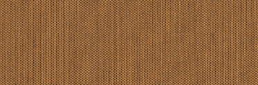 Cork