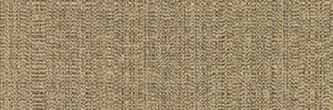 Linen Pampas