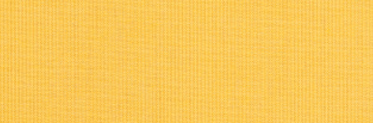 Spectrum Daffodil
