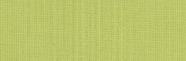 Spectrum Kiwi