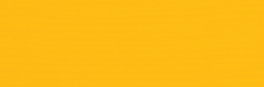 Sunflower Yellow