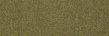 Blend Cactus