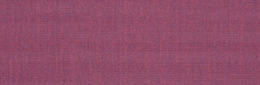Canvas Iris