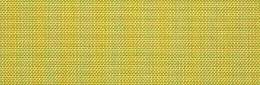 Spotlight Citron