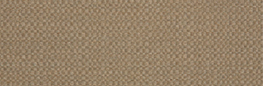 Action Taupe