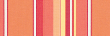 Dolce Mango