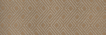 Integrated Dune