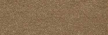 Loft Dune