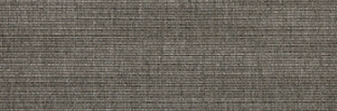 Silica Charcoal