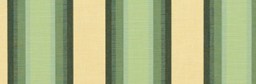 Colonnade Juniper