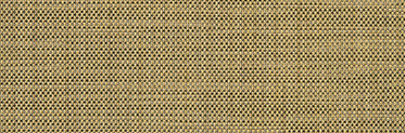 Alloy Bronze